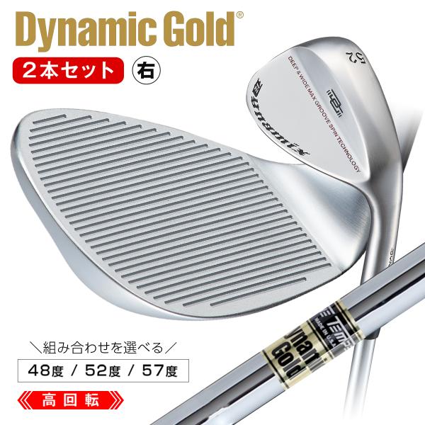 DYNAGOLF（ダイナゴルフ） ゴルフ クラブ ウェッジ メンズ 2本セット