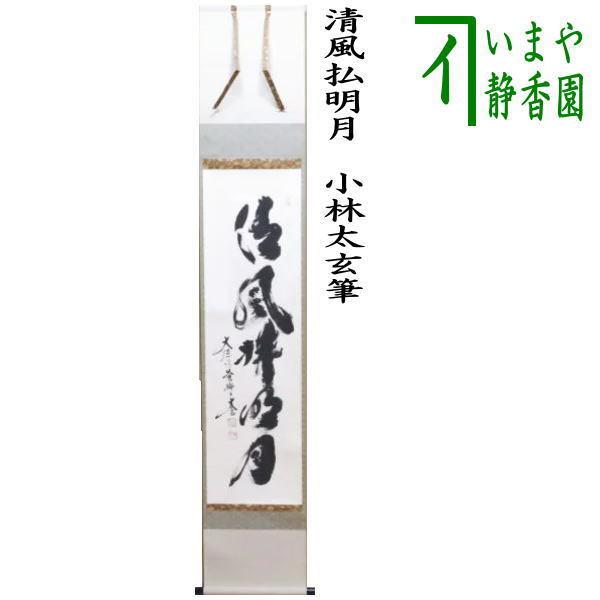 茶道具 掛軸 掛け軸 一行 清風払明月 小林太玄筆 茶道 : 茶道具いまや