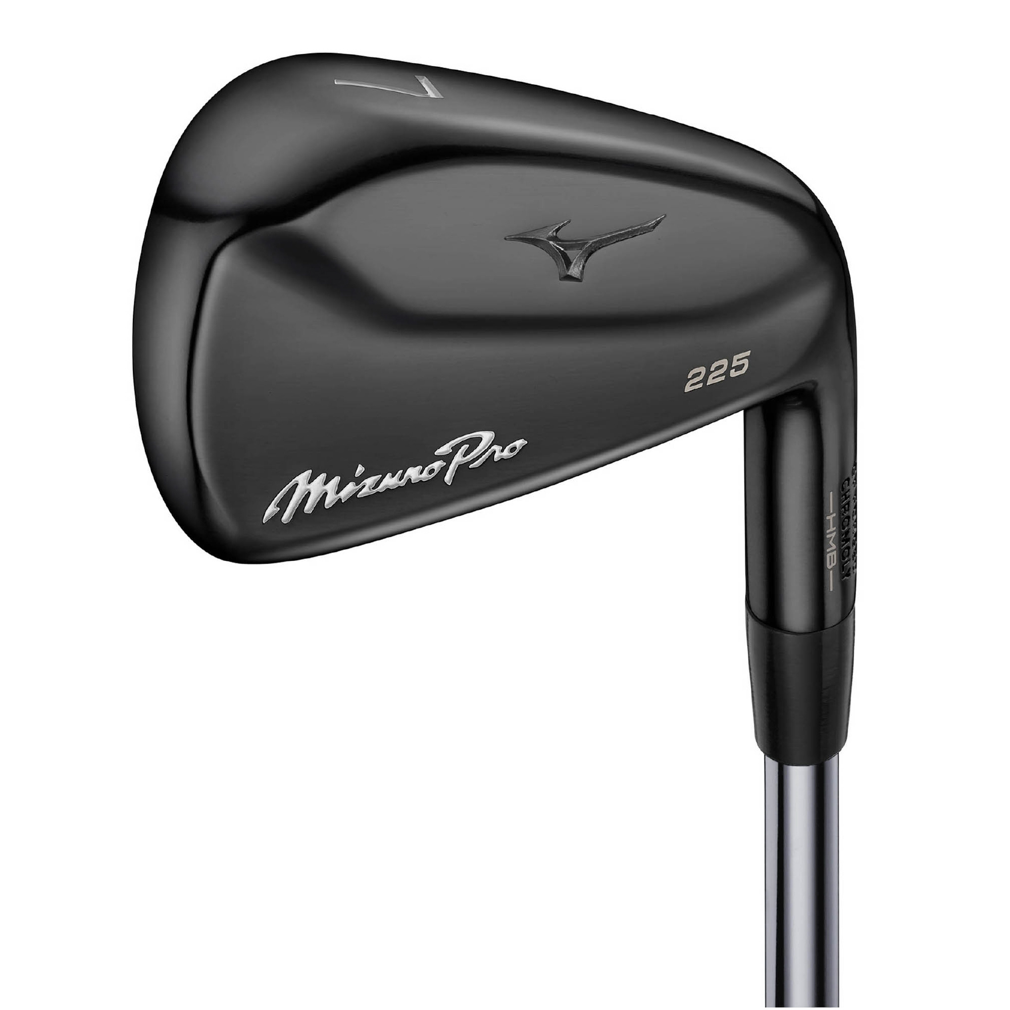 Mizuno Pro 225 アイアン／ブラックIP（Dynamic Gold 95 スチール