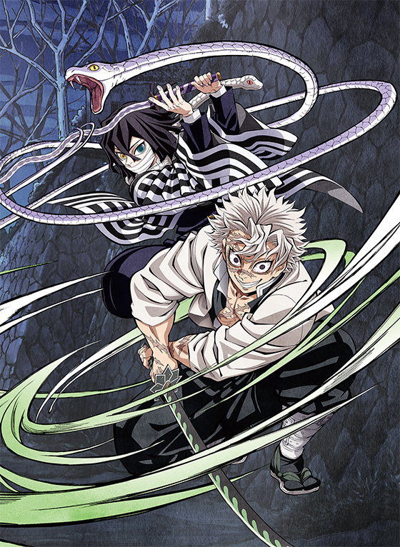 映像商品 | テレビアニメ「鬼滅の刃」柱稽古編
