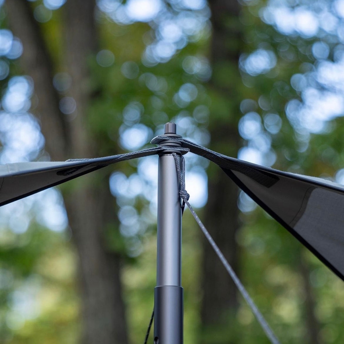 TARP WING – LOG