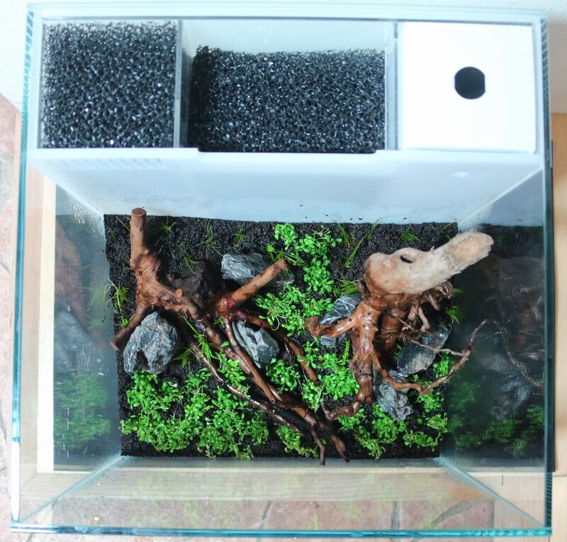 背面濾過水槽 ADA DOOA システムアクア 30×30×30 ADA DOOA システムアクア