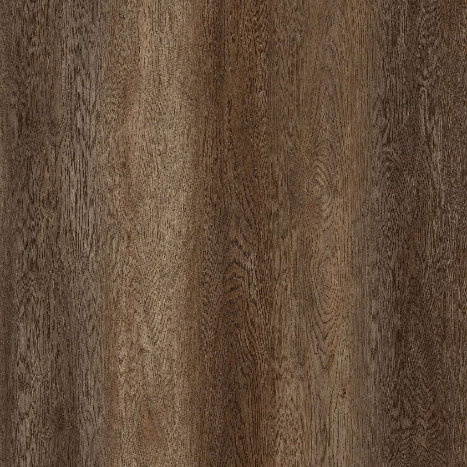 Bark