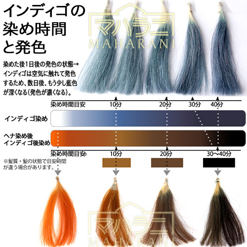 ヘナ染めで赤みを抑えるインディゴ（和名：ナンバンアイ葉）の染め方