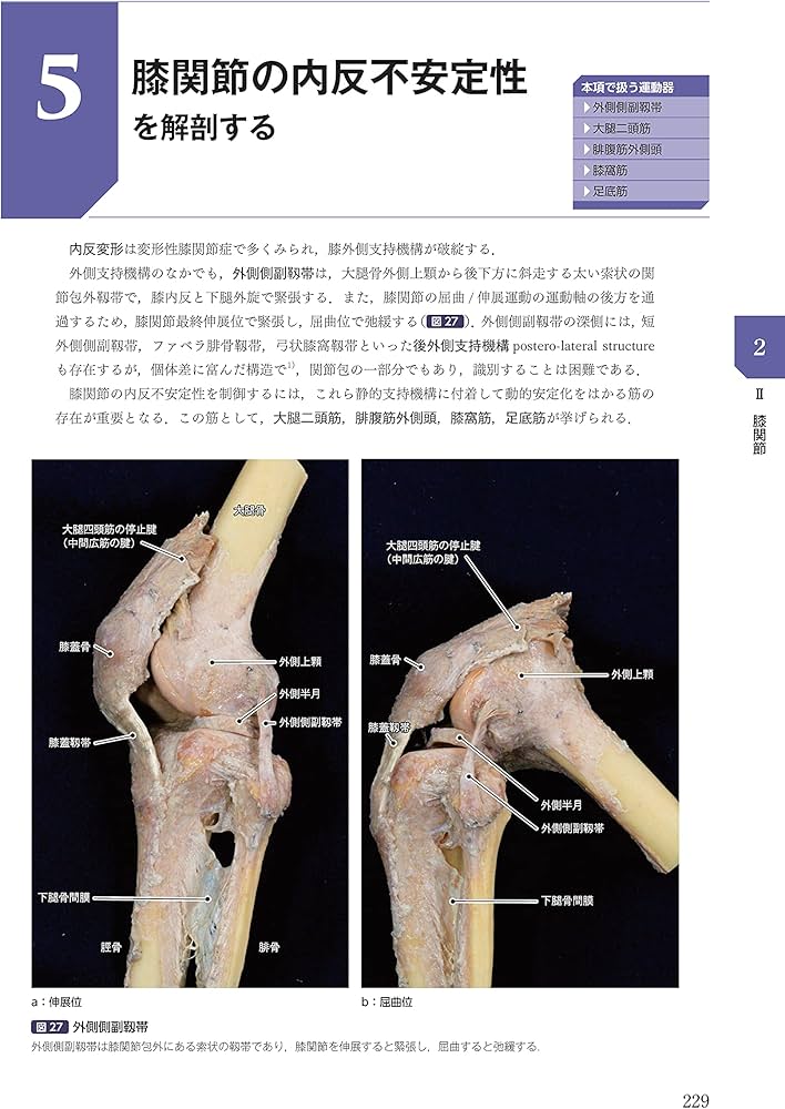 運動療法その前に! 運動器の臨床解剖アトラス : 北村清一郎, 工藤