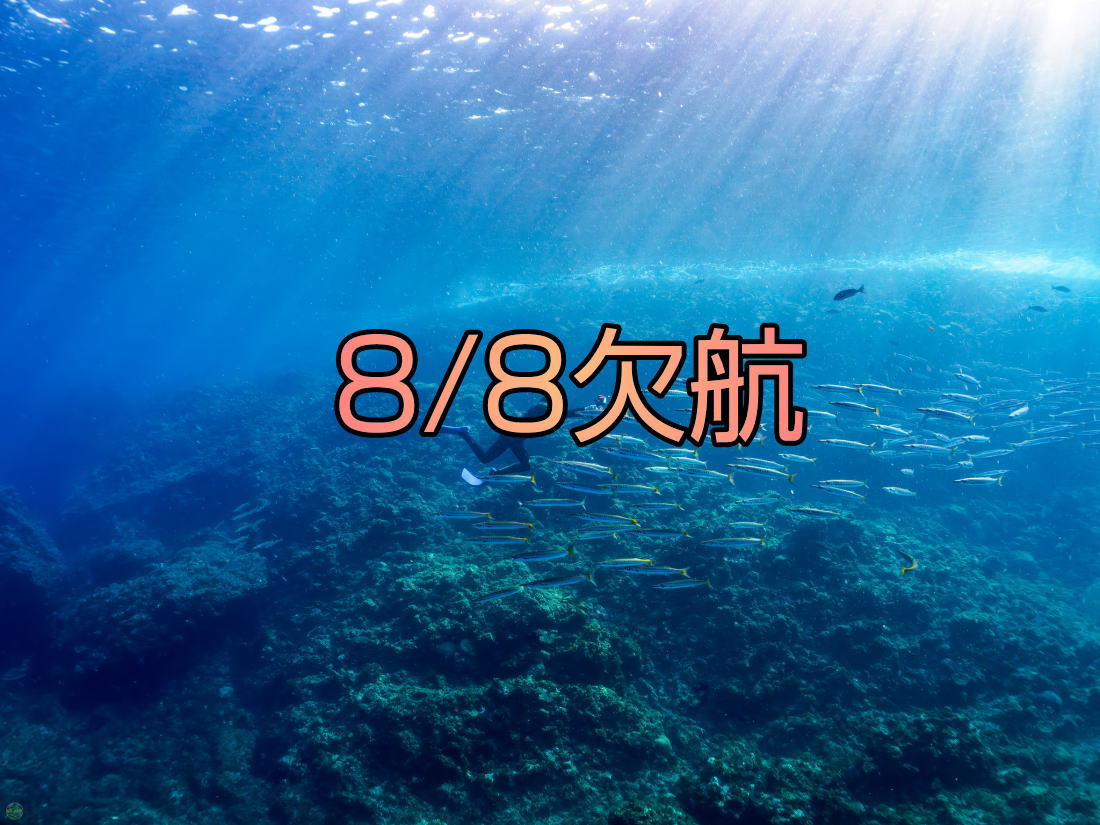 8/8 欠航 | 仲木へ行こうよ SNORKELING WORLD