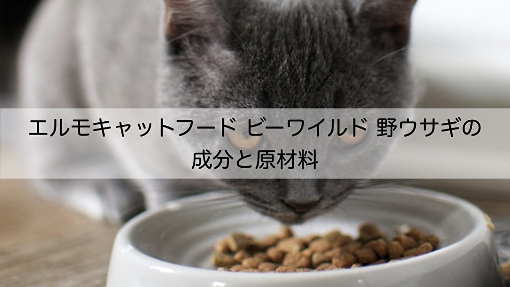 エルモキャットフード（ELMO）の評判、口コミを調査！原材料と成分や