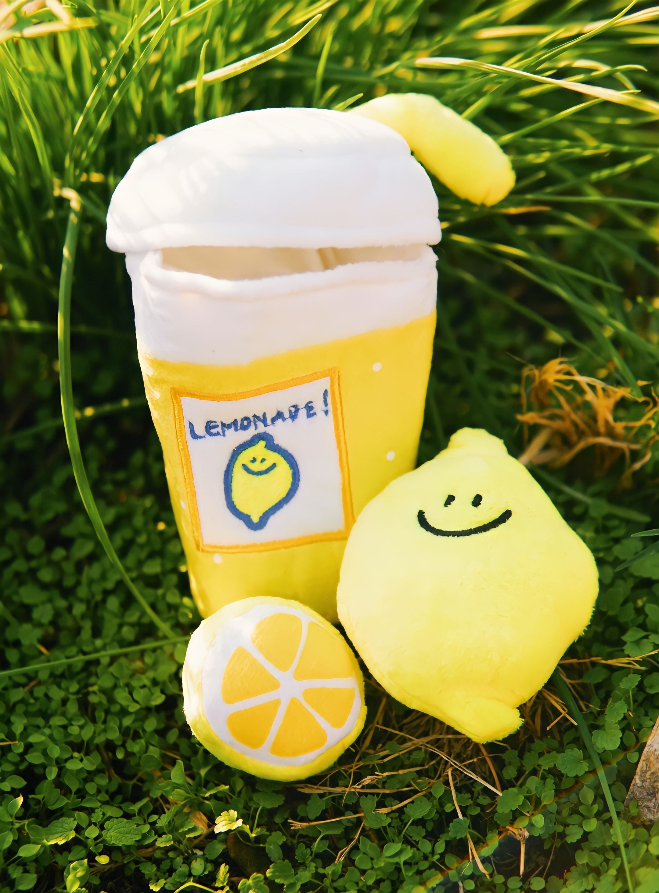 Easy Peasy Lemon Squeezy – Official Woof & Co.