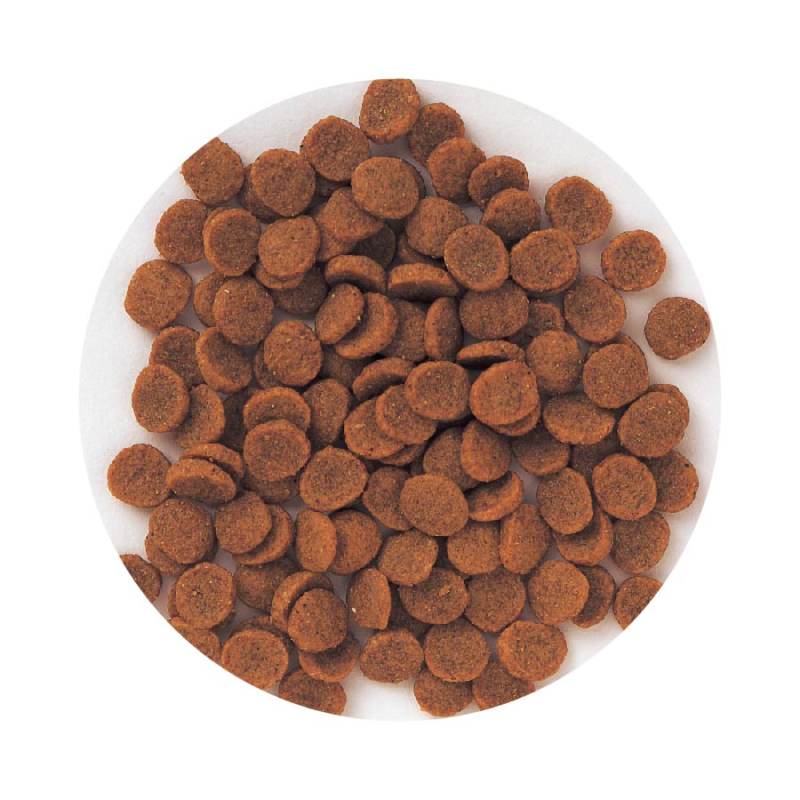 スーパーゴールド フィッシュ&ポテト 子犬・成犬用 2.4kg: 100｜業務用