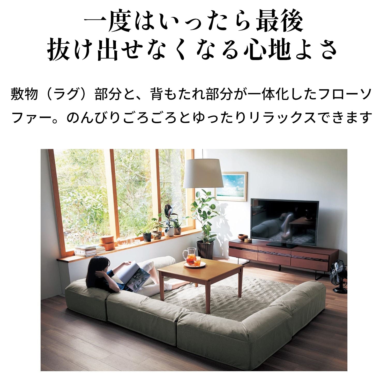 ラグが洗えるダブルコーナークッションセット(ローソファー)（ロー