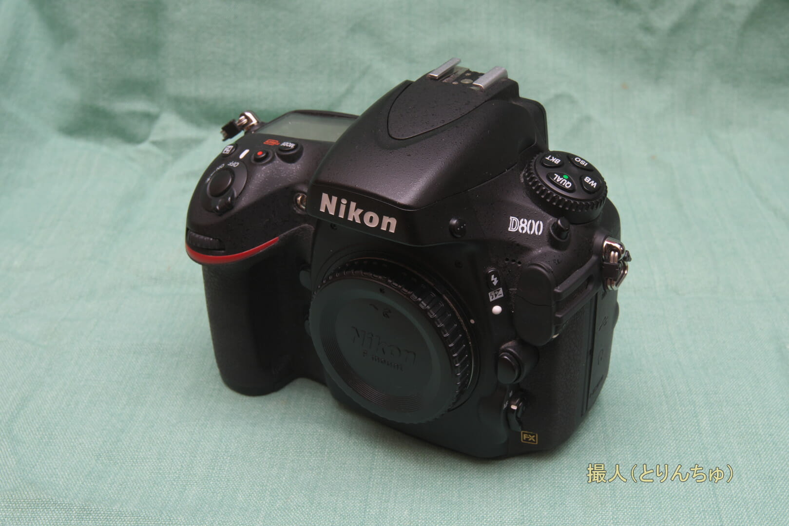 NIKON D800 フルサイズ ショット回数19,564枚 【公式通販】