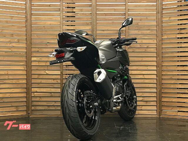 カワサキ Z250 2024年モデル メタリックマットグラフェン