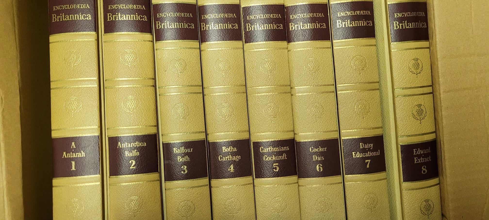 Encyclopaedia Britannica 1-23 + Index + Dictonary 2 Volumes + Book