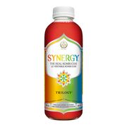 Synergy Raw Ginger Kombucha | Food Basics