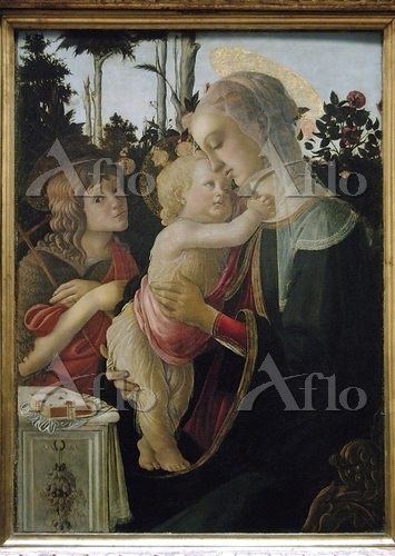 aflo_112268208.jpg