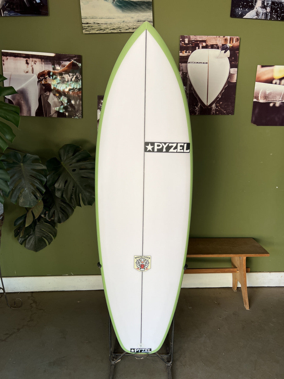 White Tiger | 5'5