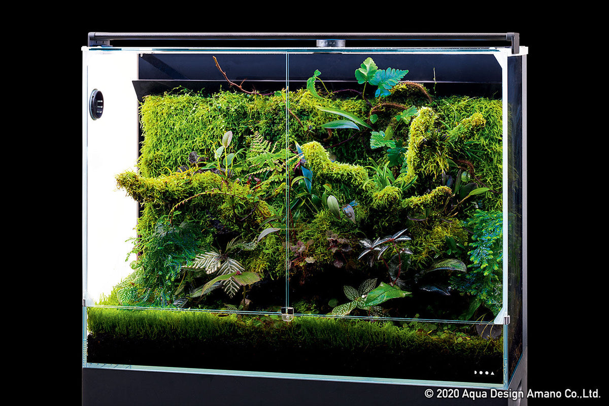 DOOA System Paluda 30 & 60
