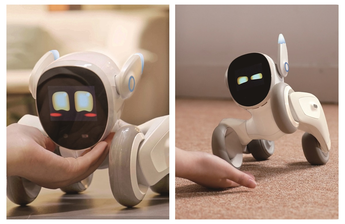 アンカーよりペットロボット「Loona (ルーナ)Blue」、Robot Planet