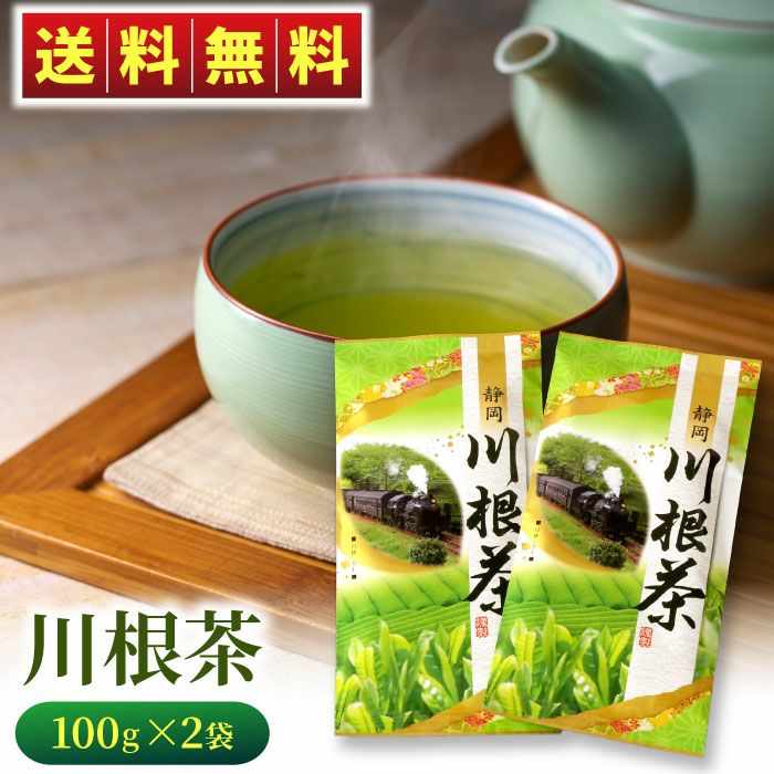 龍さん 100g×10袋 健康長寿の川根茶 農家直売 静岡茶 龍さん様専用
