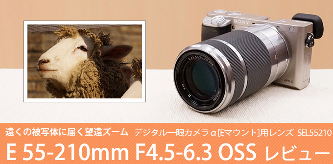 SEL55210 レンズレビュー 作例付き・実機で解説！｜ソニーショップさとうち