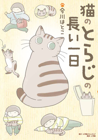 完全版人形少女限定版BOX | 楳図かずお – 小学館コミック
