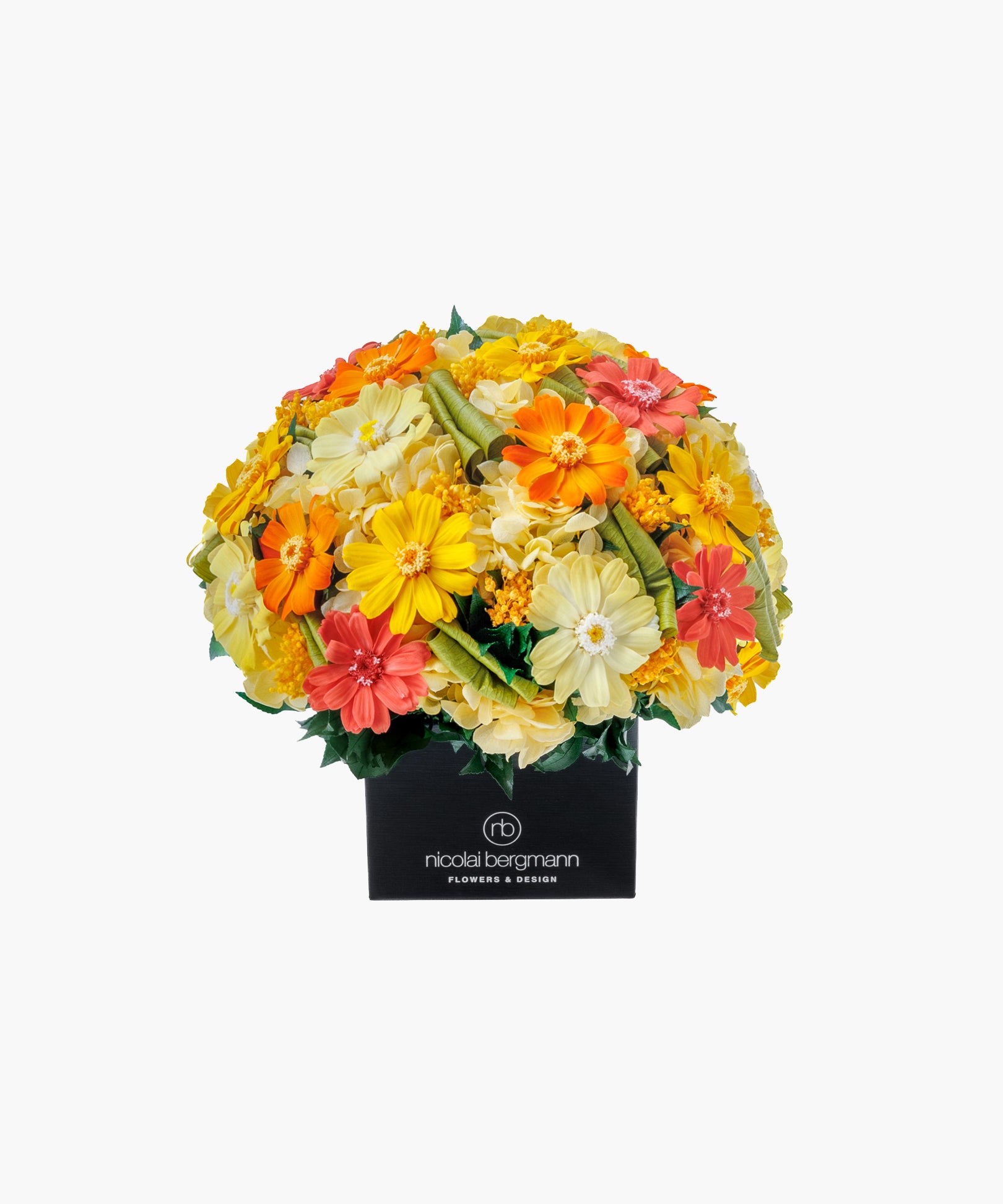 Bright Zinnia