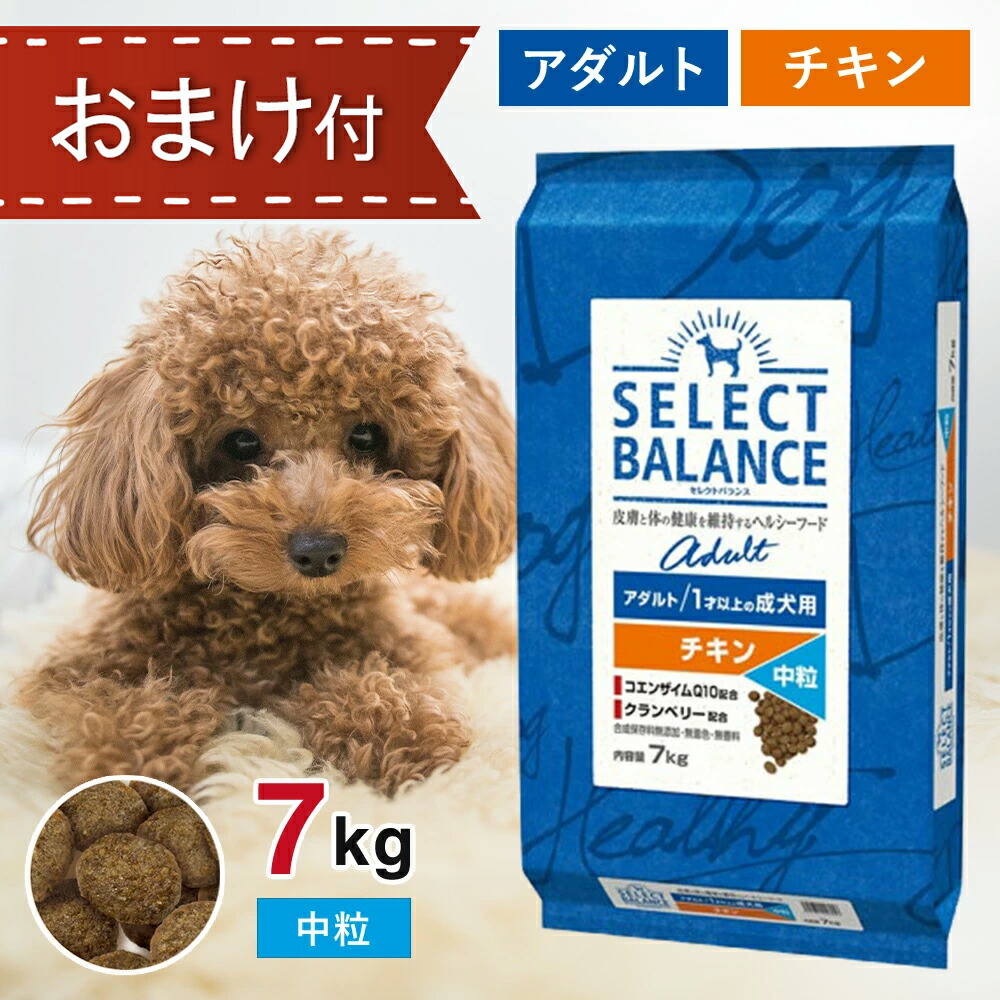 imgrc0091781712.jpg