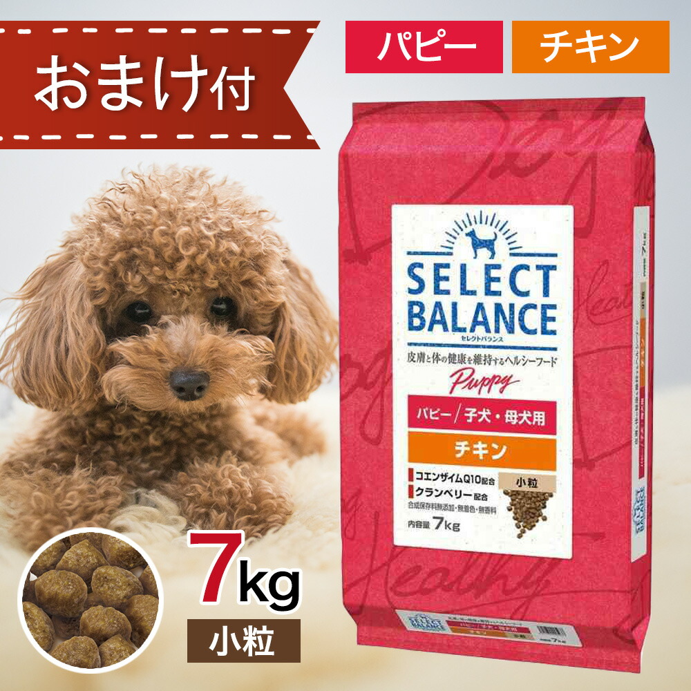 楽天市場】 セレクトバランス アダルト ラム 小粒 7kg ペットフード