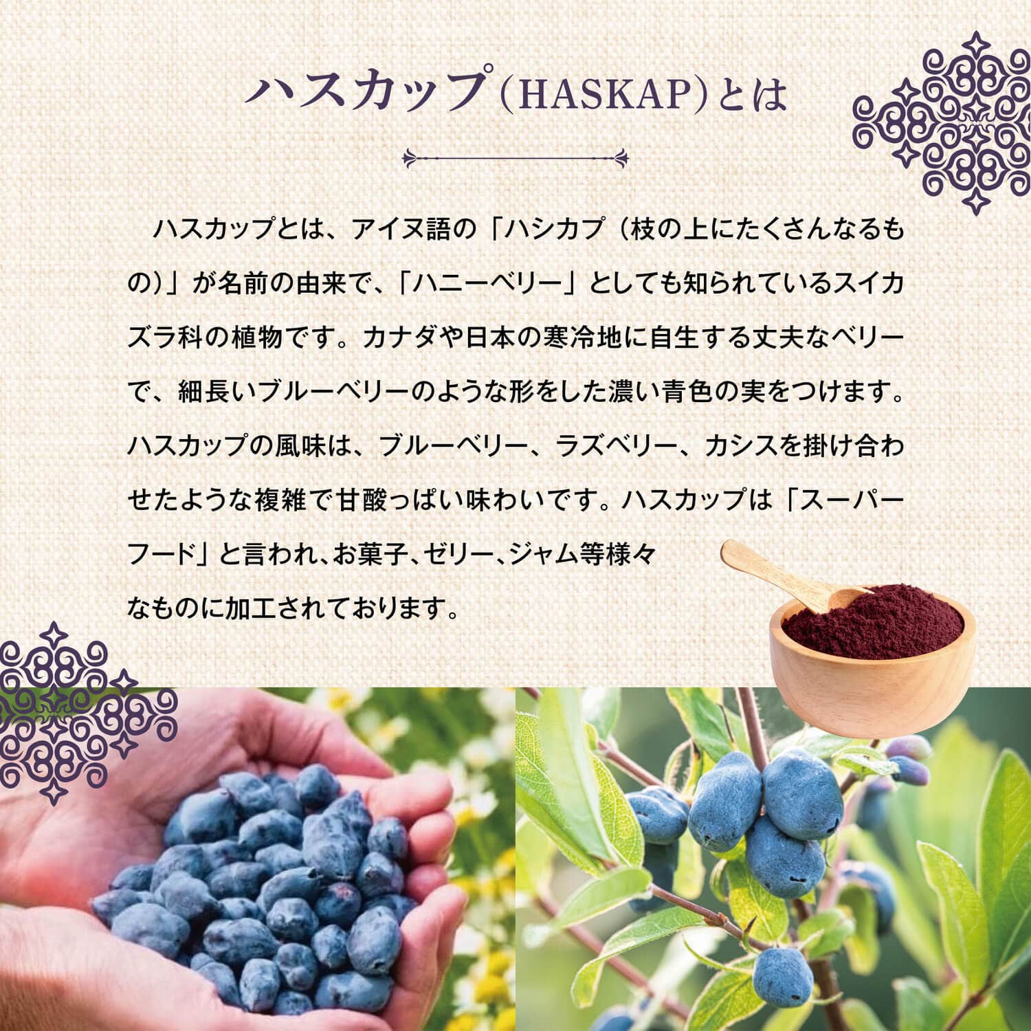 サラヤ｜ララアビス ハスカップワイン Rara Avis 750mL: サラヤ公式通販