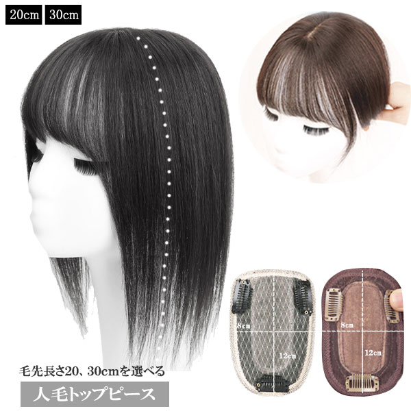人毛 トップピース ストレート ヘアピース トップカバー 手植え 20cm