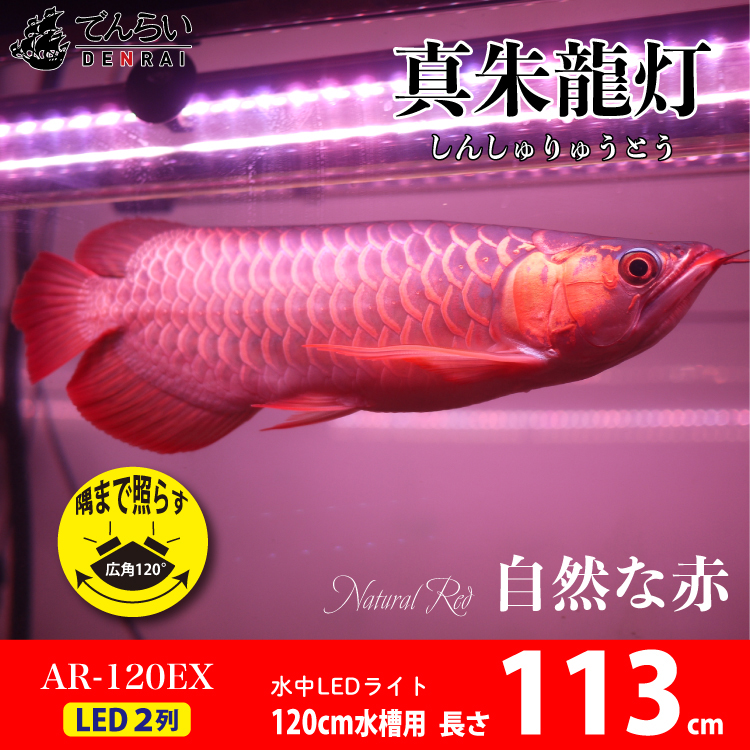 紅龍 水中 スーパーレッド アロワナ ライト LED 水中照明 レッド