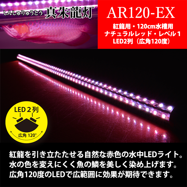 紅龍 水中 スーパーレッド アロワナ ライト LED 水中照明 レッド
