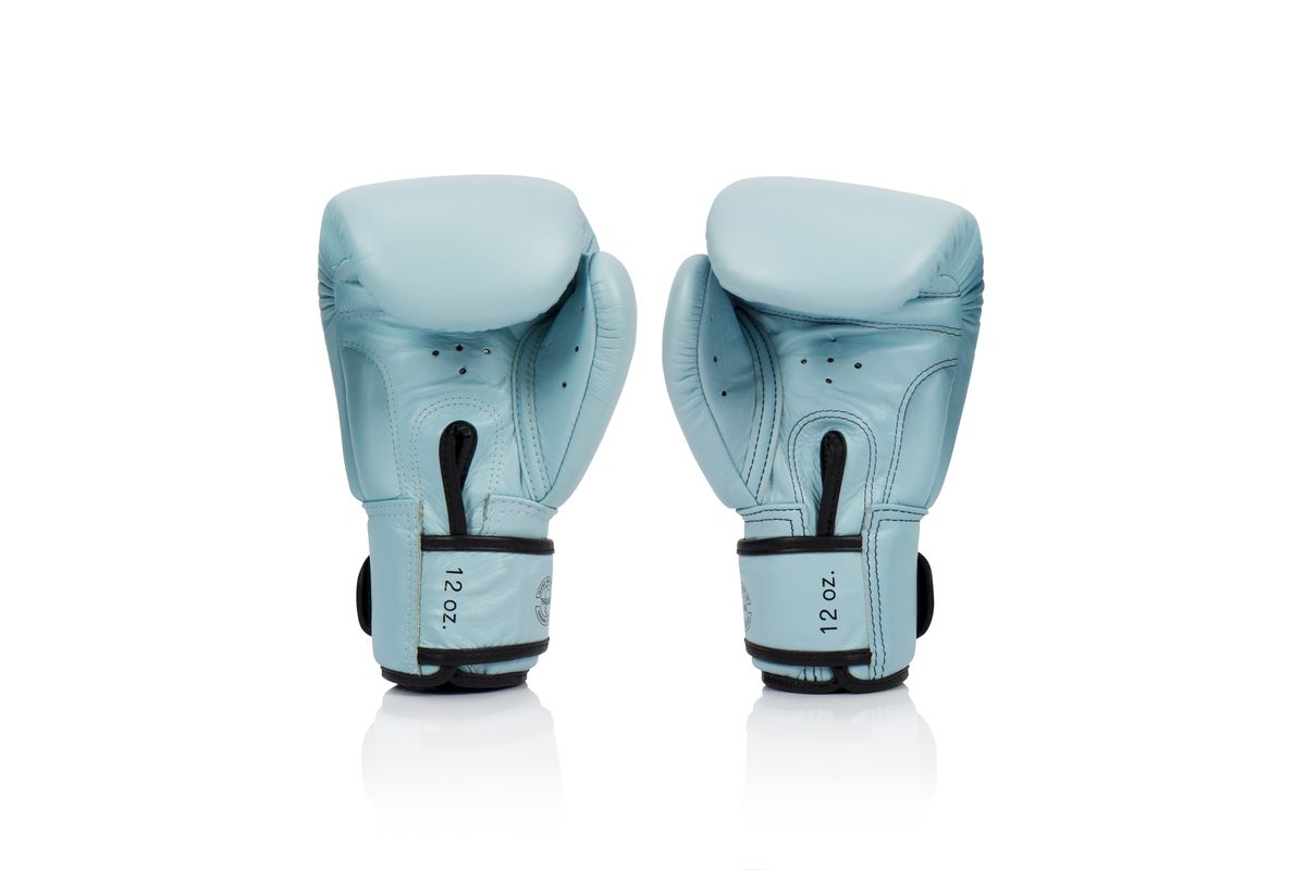 フェアテックス Fairtex ボクシンググローブ BGV20 8-16oz ムエタイ