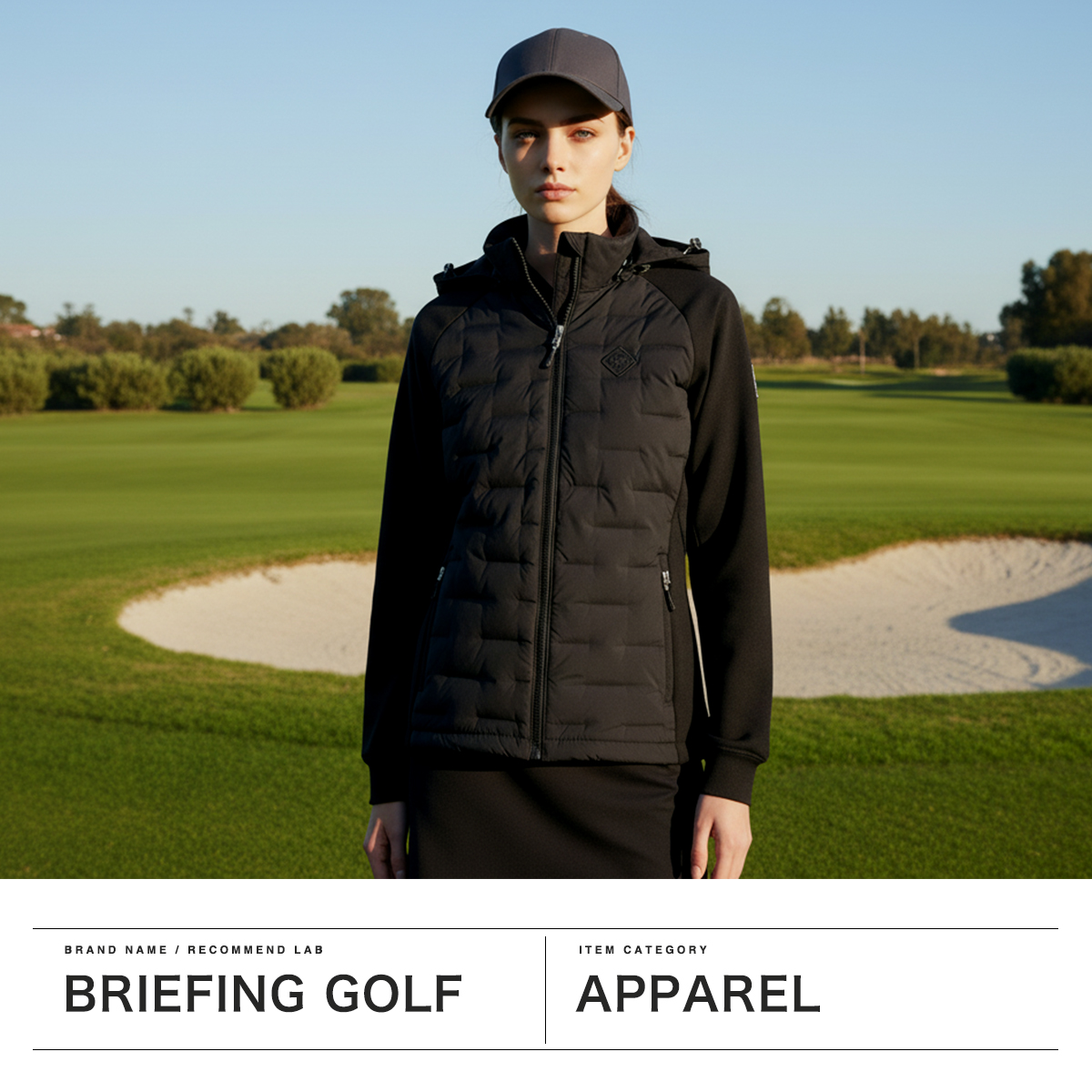 BRIEFING GOLF（ブリーフィングゴルフ） 最大53%☆3/1迄 日本正規品