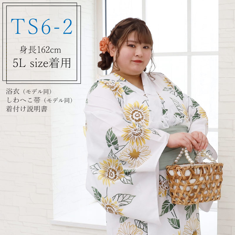 ts6-2-1.jpg
