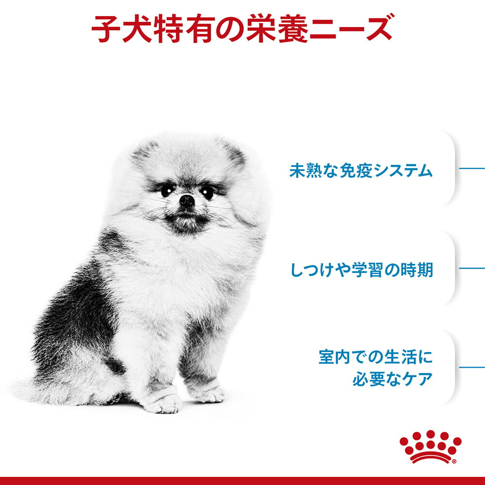 サイズ ヘルス ニュートリション ロイヤルカナン SHN ミニ インドア