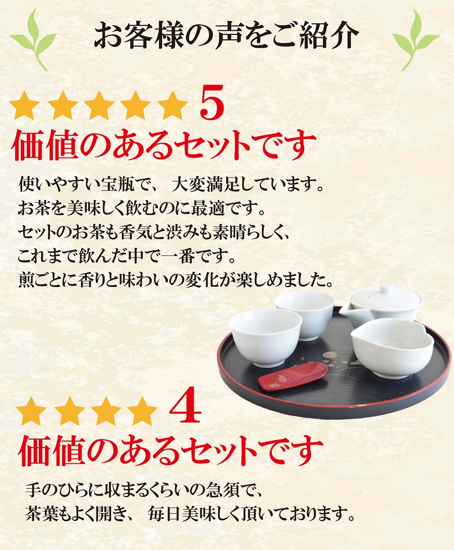 急須 白磁製 宝瓶 ほうひんセット 急須茶器セット 160ml 煎茶横沢15g