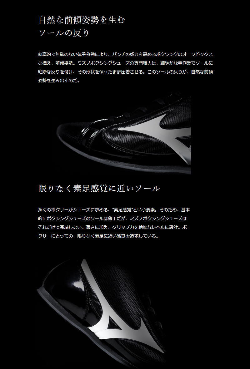 MIZUNO（ミズノ） ボクシングシューズ メンズ レディース 21GA231012