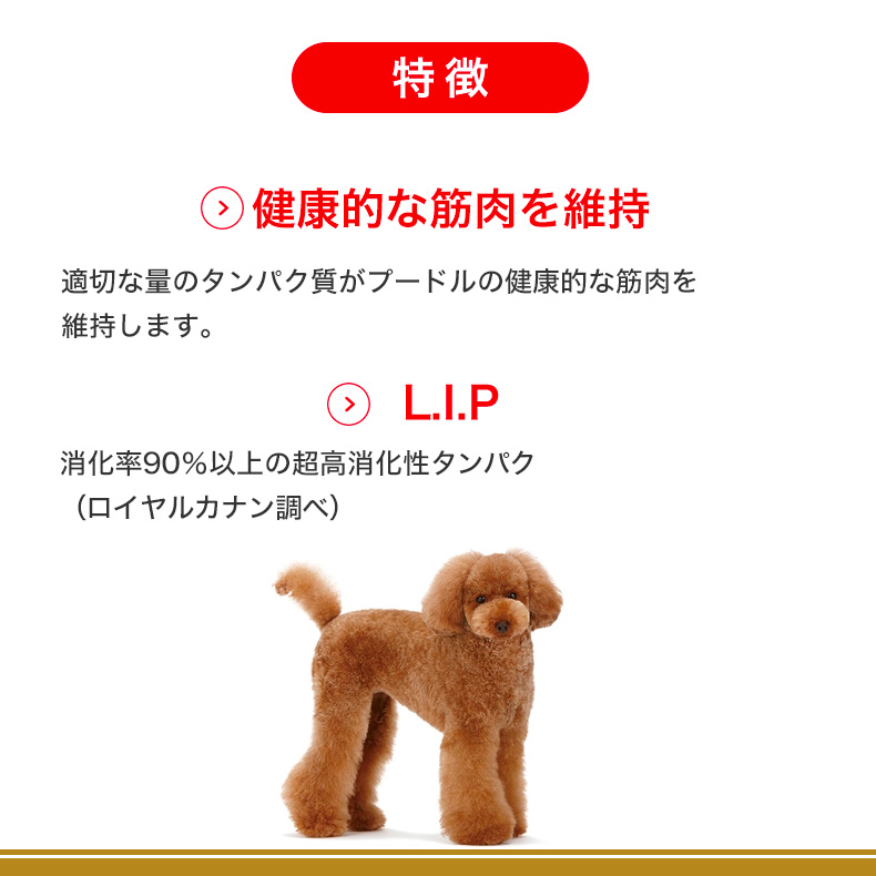 ロイヤルカナン（ROYAL CANIN） 【お得な6個セット】ロイヤルカナン