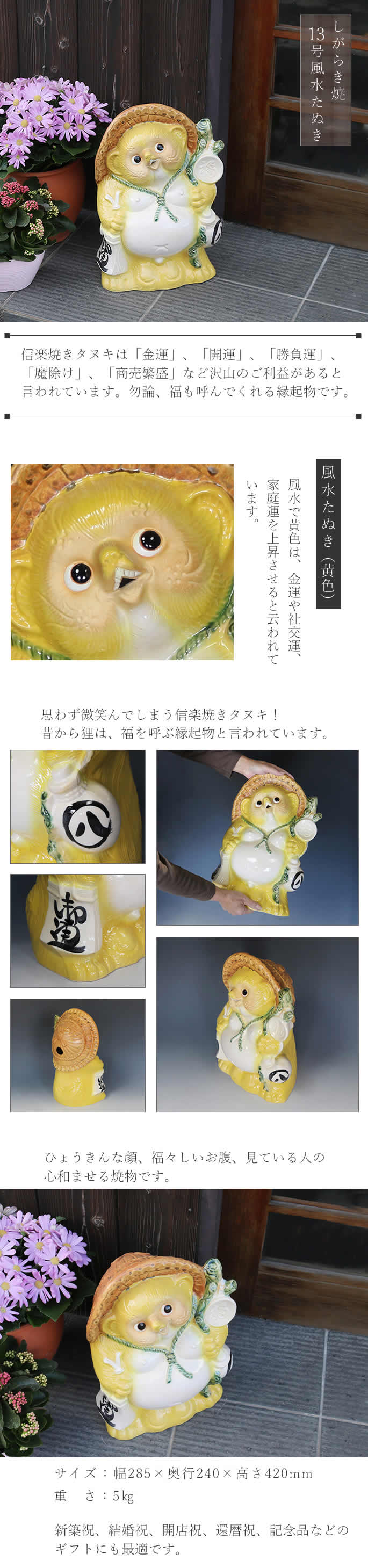 信楽焼 13号風水狸(黄)狸 たぬき タヌキ 開運 縁起物 可愛い 陶器 商売