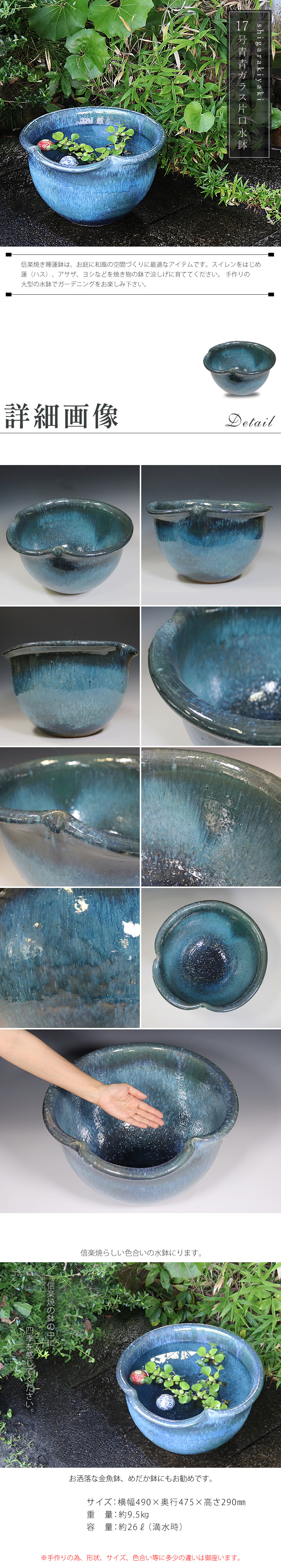 信楽焼 メダカ鉢 おしゃれ 水鉢 睡蓮鉢 陶器 めだか 鉢 金魚鉢 青