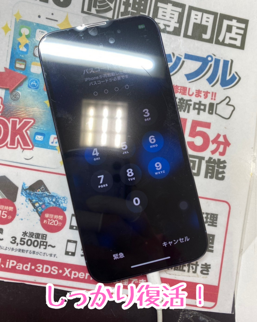 iPhone13 Pro Maxの画面が突然真っ白に！画面交換で無事復旧