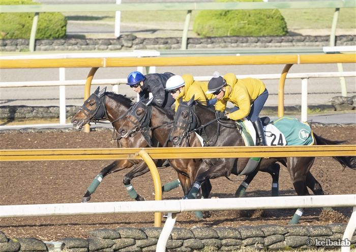 アリストテレス - Aristoteles - 競走馬データベース | 競馬ラボ