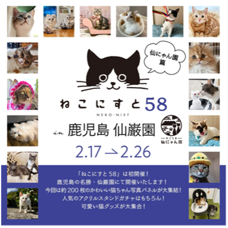 鹿児島県・東京都】「かごしま 仙にゃん園」が“猫の日”に合わせ仙巌園