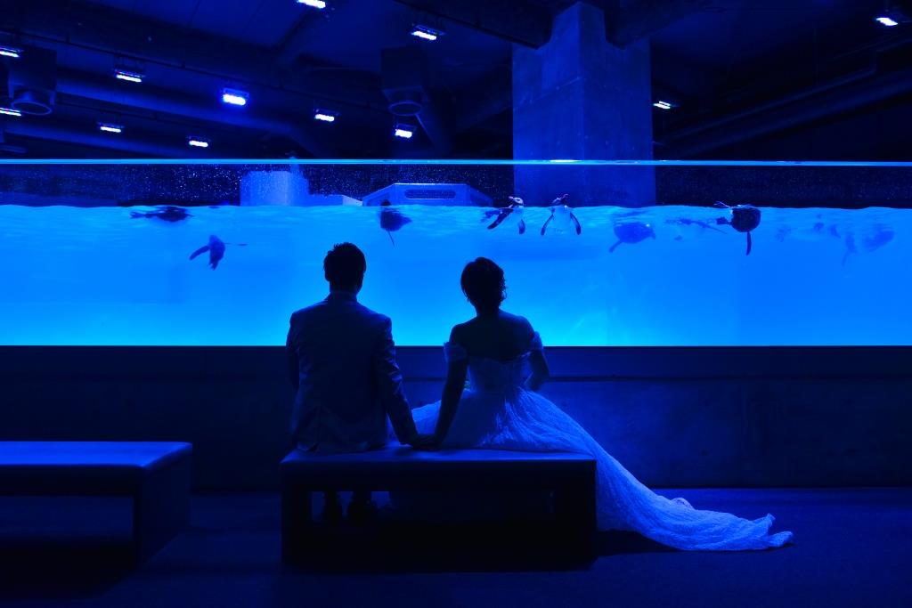 センチュリーロイヤルホテル×「AOAO SAPPORO」水族館ウエディング