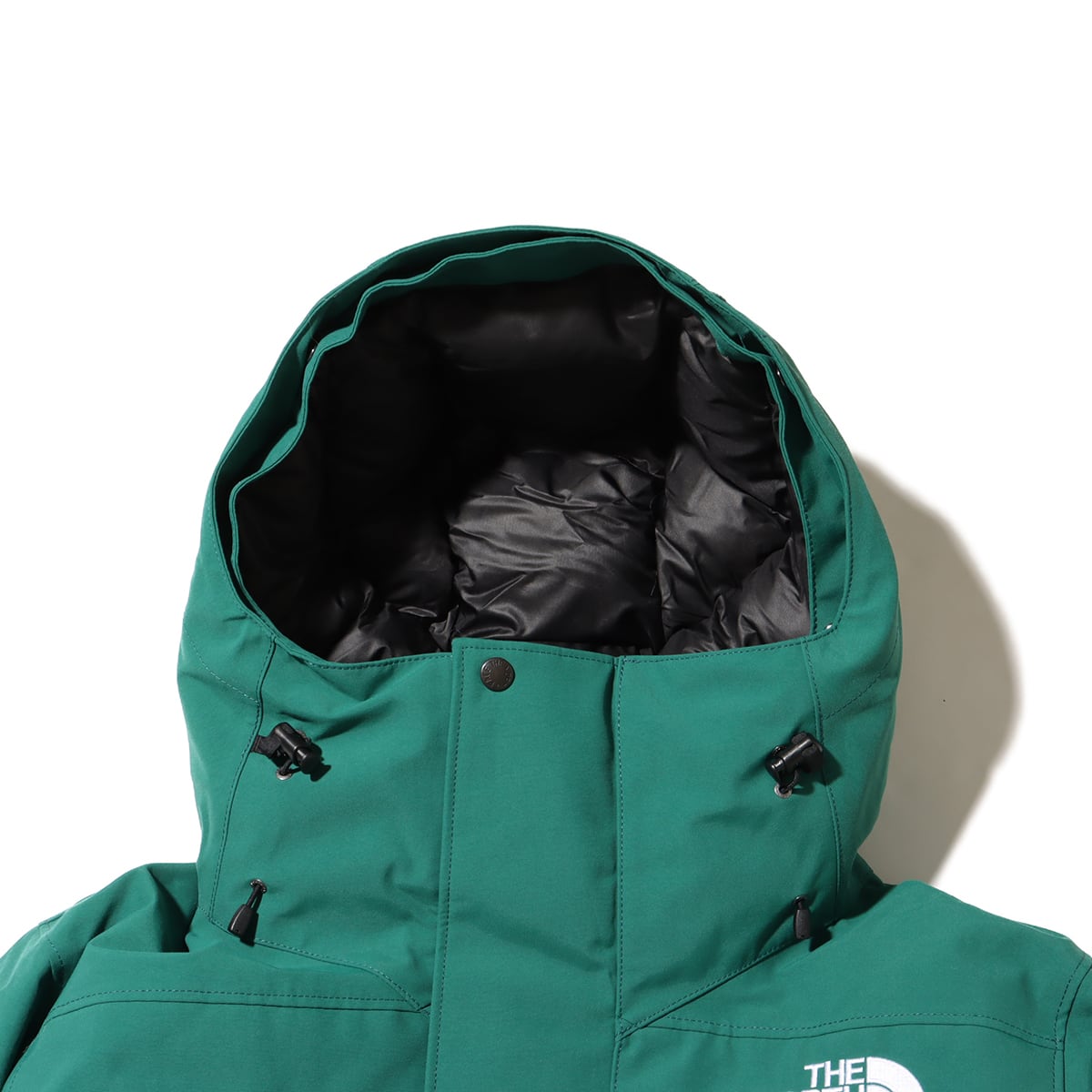 THE NORTH FACE Antarctica Parka TNFグリーン （ザ・ノース・フェイス