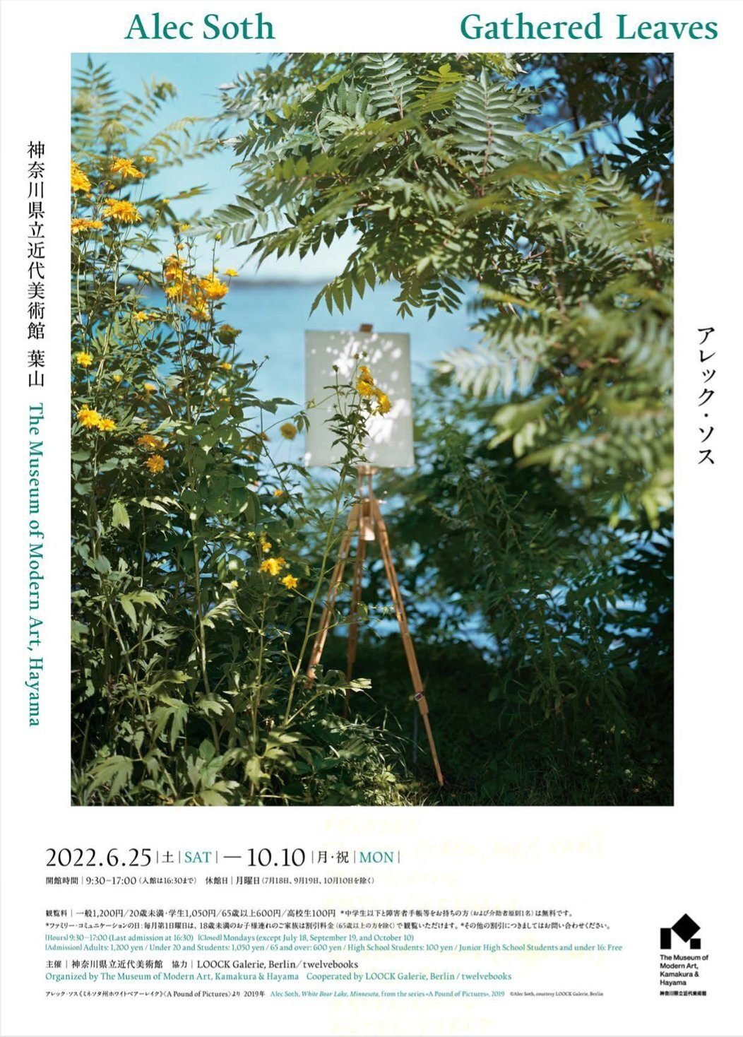 透明ランナー｜「アレック・ソス Gathered Leaves」展――“アメリカが