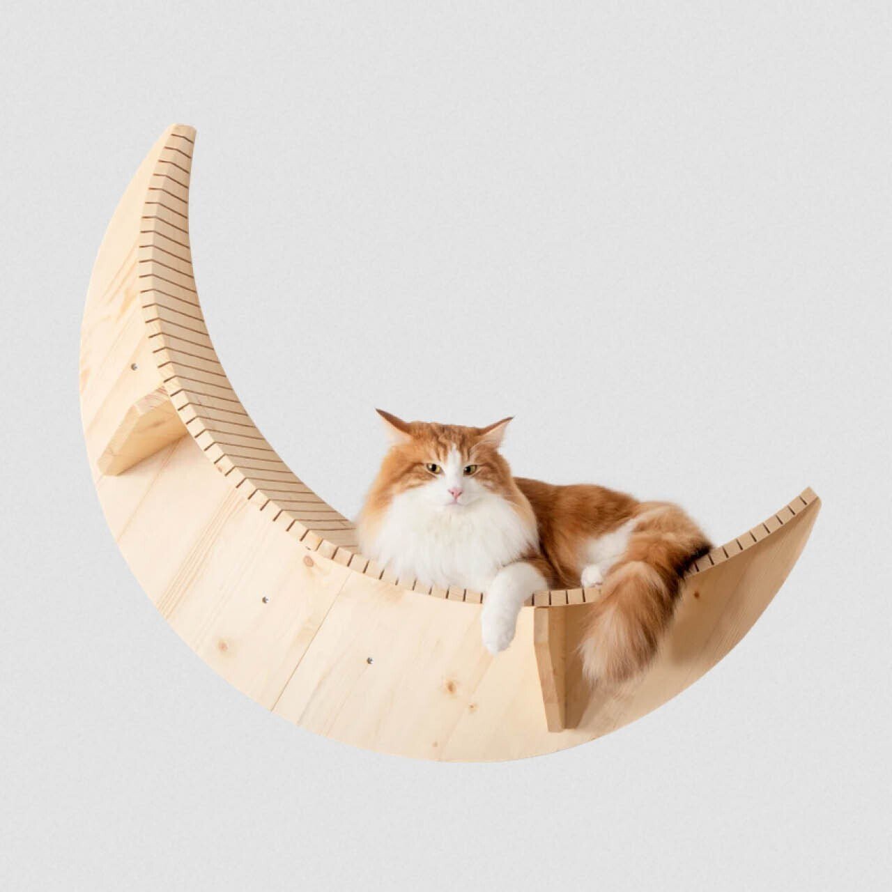 インテリアとしてもインパクト抜群！三日月型のかわいすぎる猫ちゃん用