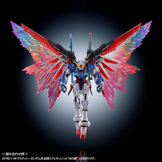 RG 1/144 デスティニーガンダム［チタニウムフィニッシュ］│株式