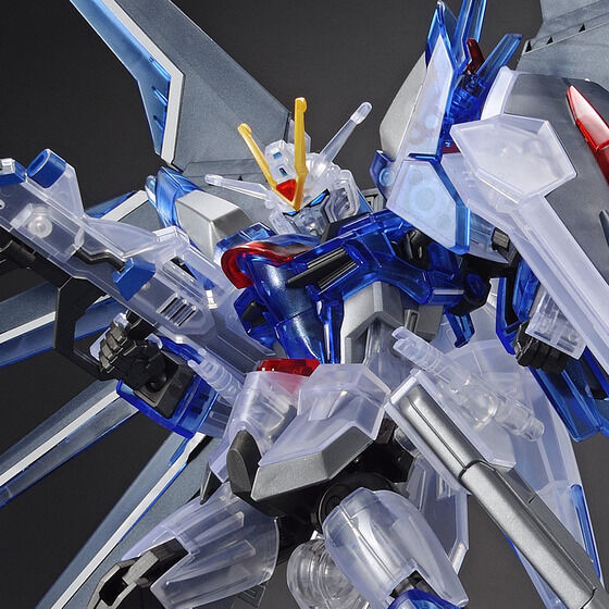 ガンプラ「劇場版公開記念パッケージ HG ライジングフリーダムガンダム